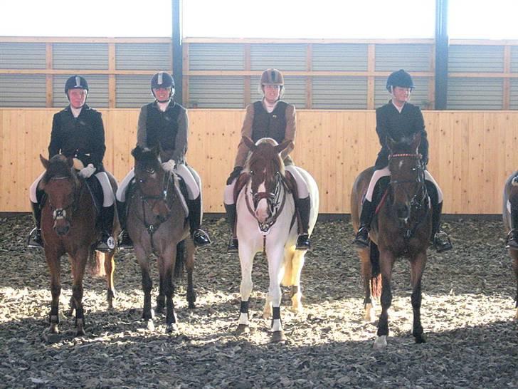 Nørre Aaby Rideklub d.11- 12/10 - 2008 billede 11