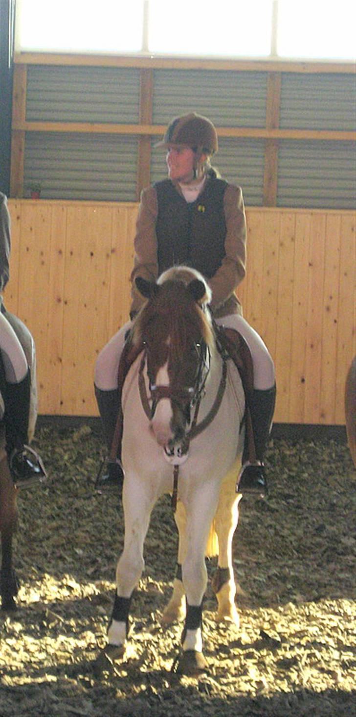 Nørre Aaby Rideklub d.11- 12/10 - 2008 billede 12