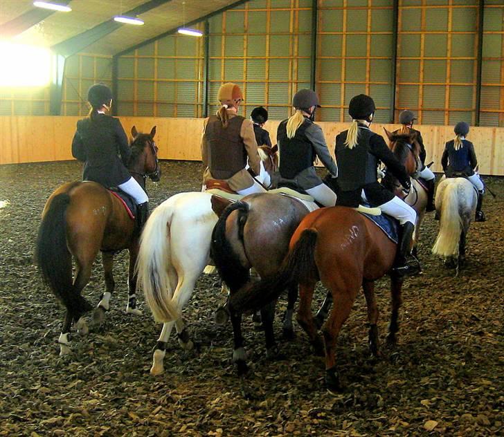 Nørre Aaby Rideklub d.11- 12/10 - 2008 billede 13