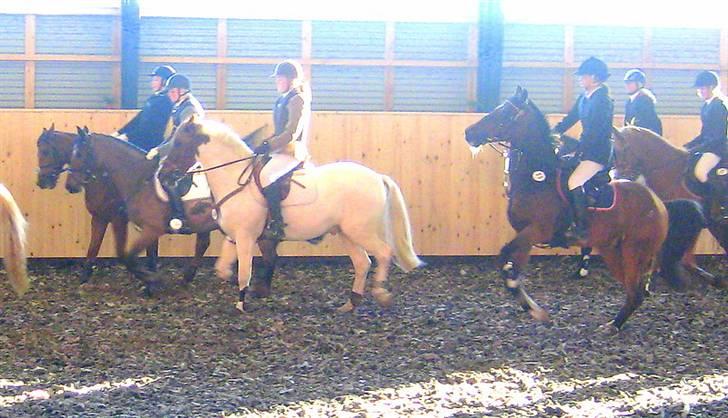 Nørre Aaby Rideklub d.11- 12/10 - 2008 billede 14