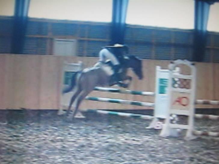 Nørre Aaby Rideklub d.11- 12/10 - 2008 billede 15