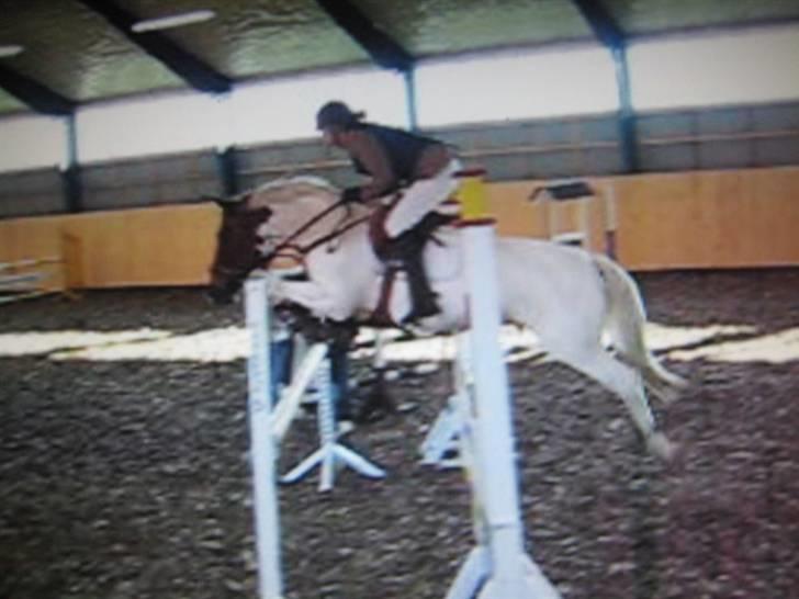 Nørre Aaby Rideklub d.11- 12/10 - 2008 billede 16