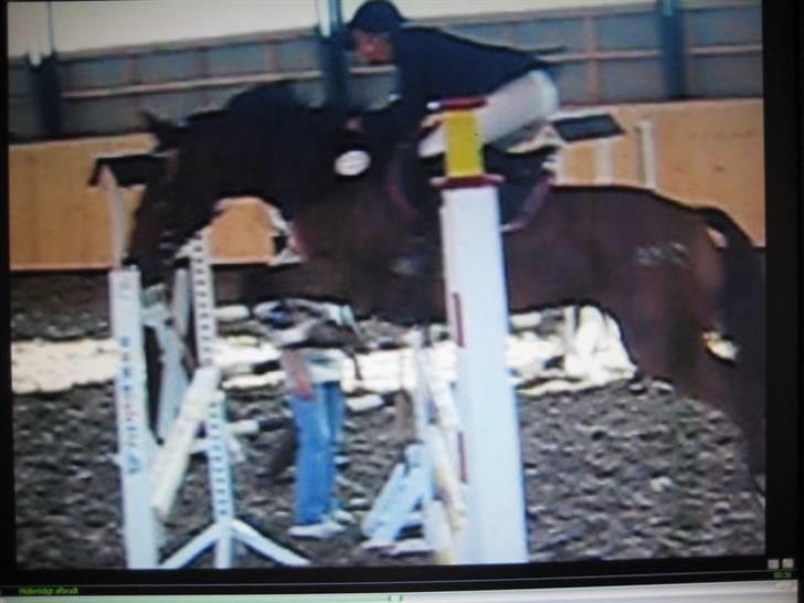 Nørre Aaby Rideklub d.11- 12/10 - 2008 billede 17