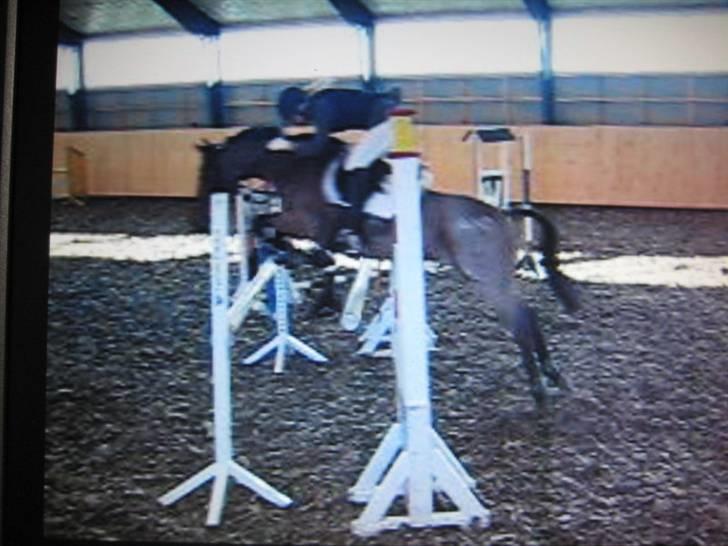 Nørre Aaby Rideklub d.11- 12/10 - 2008 billede 19