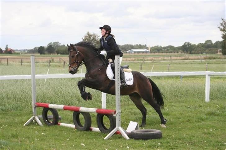 Mig og Charlie, stævne i ØLR - Det første spring billede 1