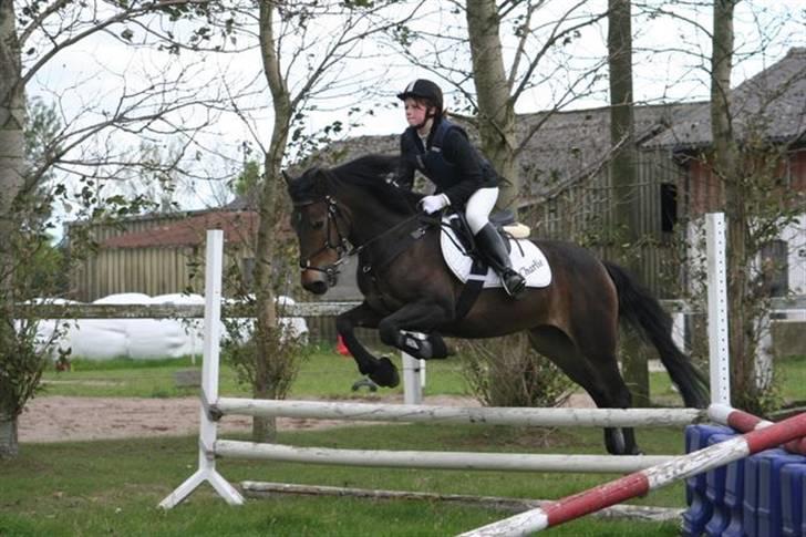 Mig og Charlie, stævne i ØLR billede 2