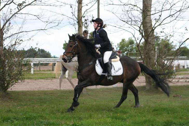 Mig og Charlie, stævne i ØLR billede 3