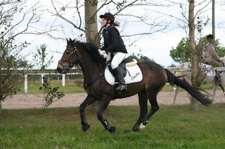 Mig og Charlie, stævne i ØLR billede 4