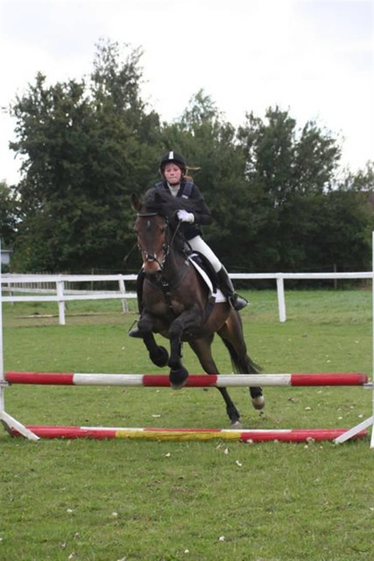 Mig og Charlie, stævne i ØLR billede 5