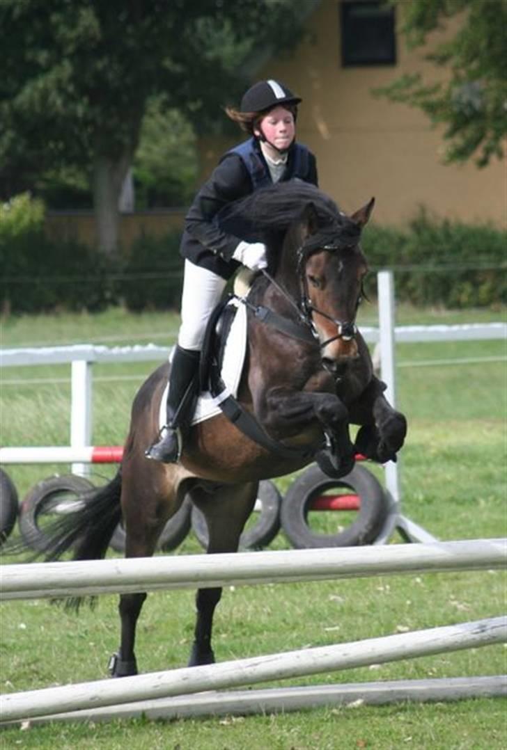 Mig og Charlie, stævne i ØLR billede 7