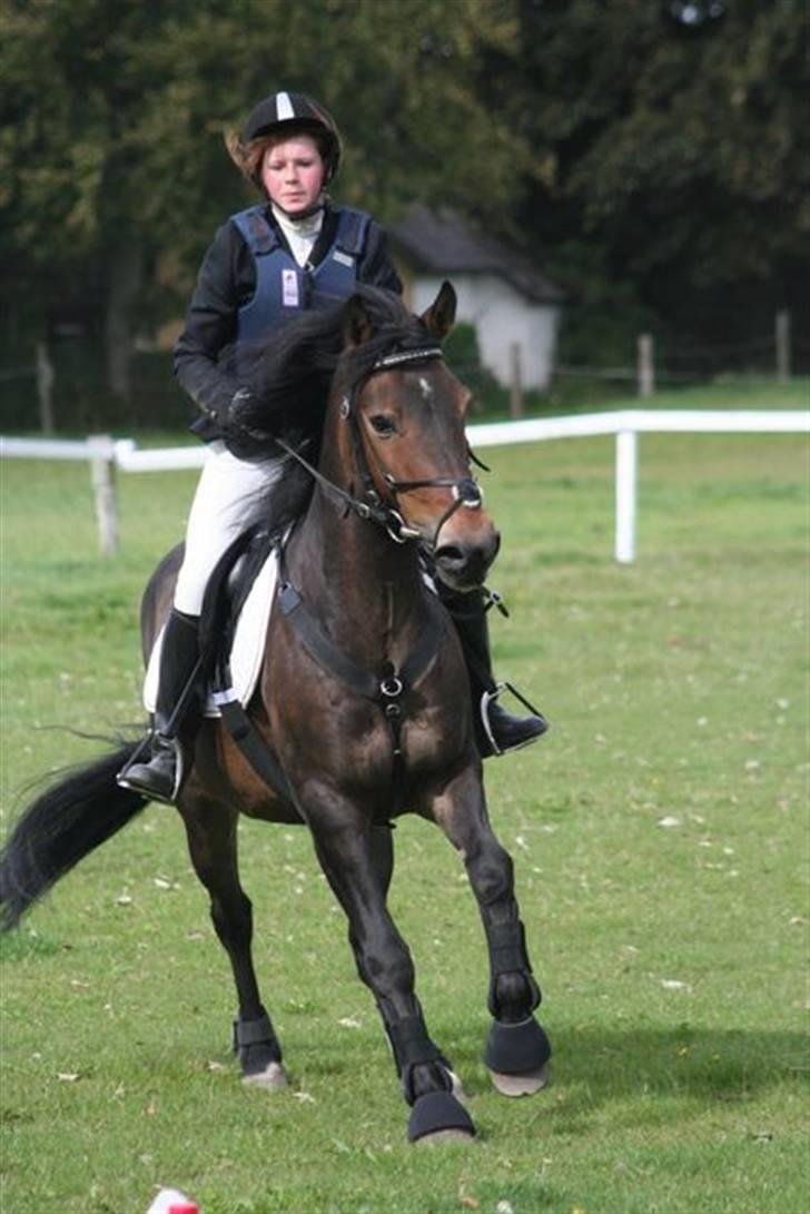 Mig og Charlie, stævne i ØLR billede 8