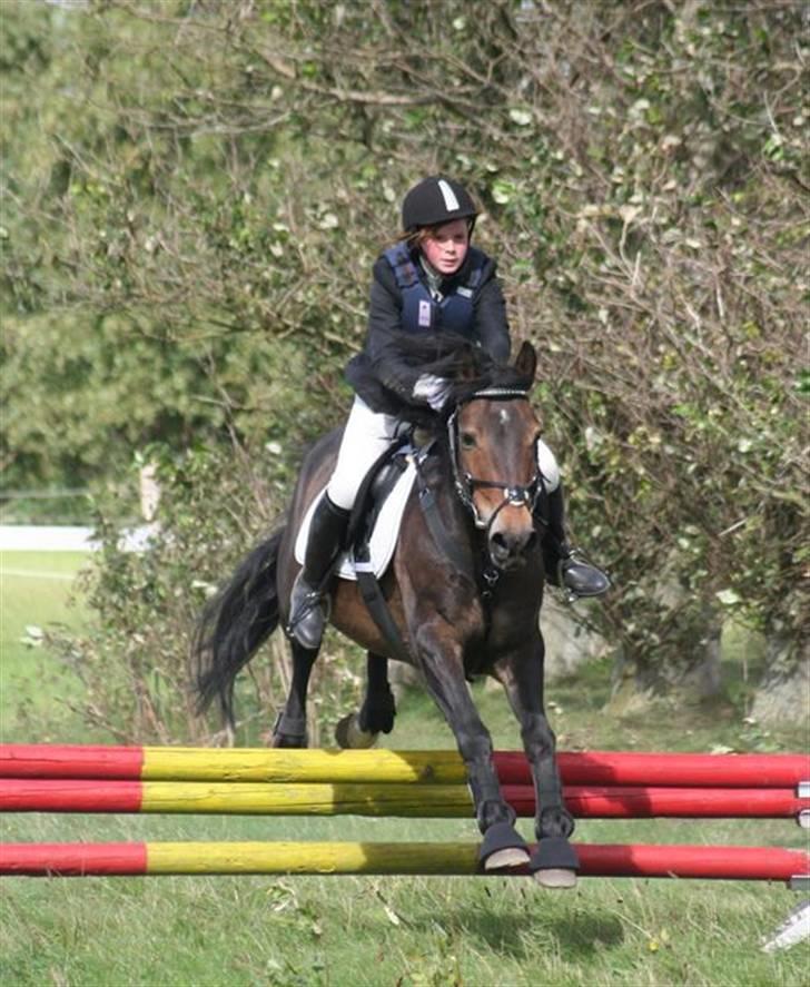 Mig og Charlie, stævne i ØLR billede 9