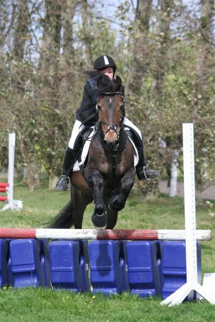 Mig og Charlie, stævne i ØLR billede 10