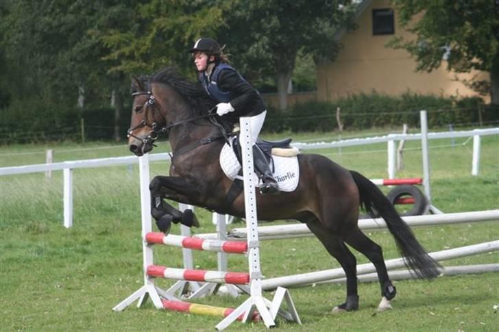 Mig og Charlie, stævne i ØLR billede 11