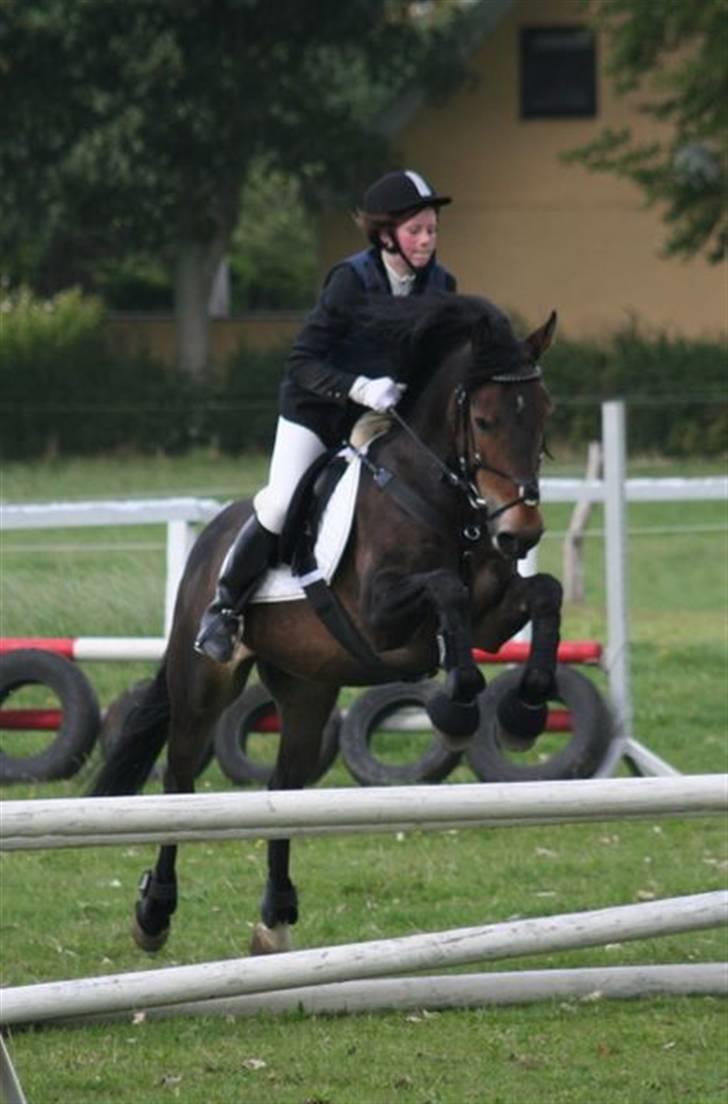 Mig og Charlie, stævne i ØLR billede 12