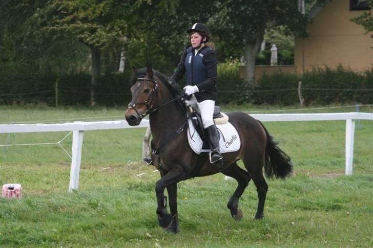 Mig og Charlie, stævne i ØLR billede 14