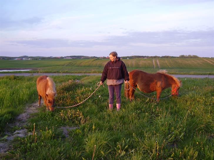 Stines heste - Kerri Bomlund og Ll.Grummesgårds Cinnamon på tur med Stine. billede 1