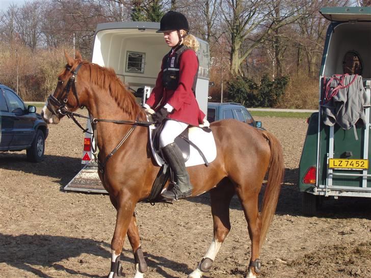 Jagt billeder af Ferrari - Ferrari til jagt,  han var meget utolmodig.. :) billede 4