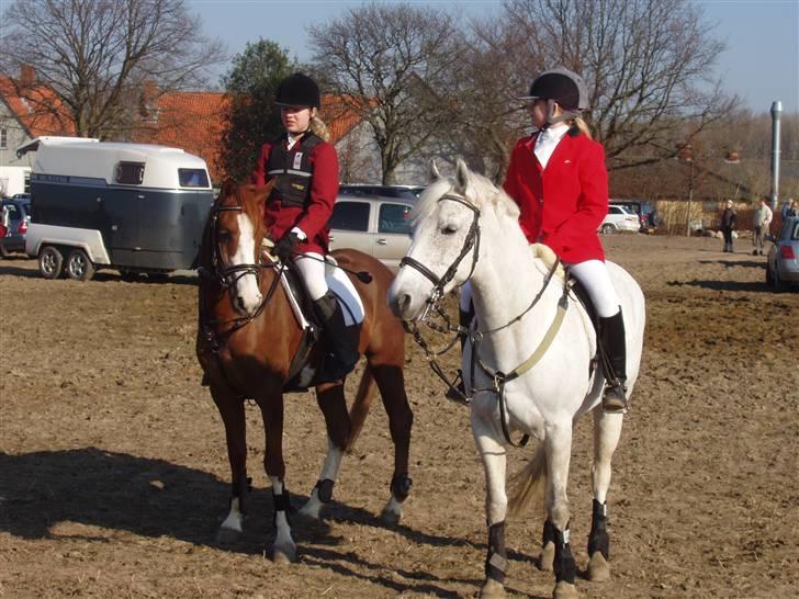 Jagt billeder af Ferrari - Mig og alberte billede 5