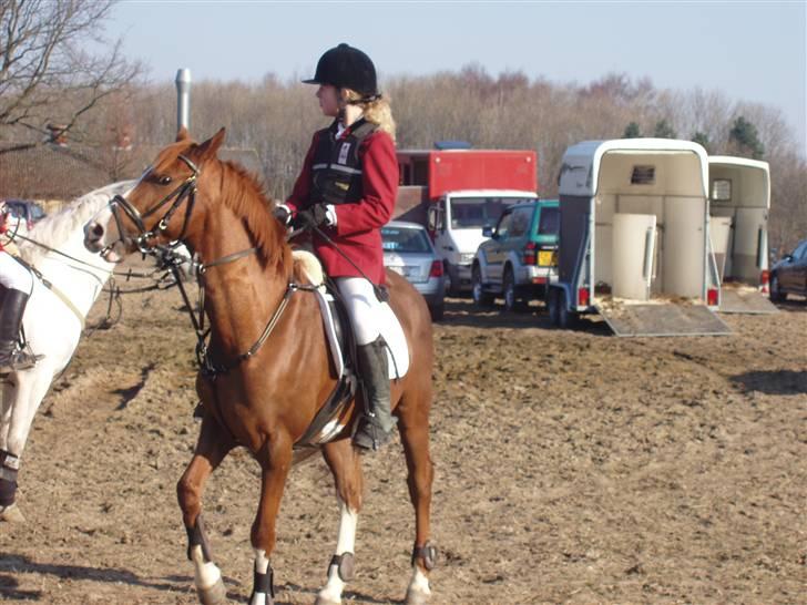 Jagt billeder af Ferrari - Han var bare MEGA utolmodig..
 billede 10