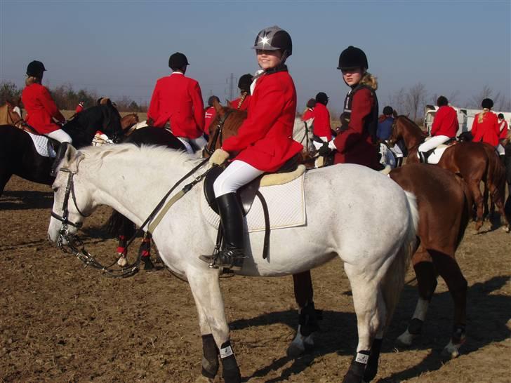 Jagt billeder af Ferrari - Alberte har bling bling på hjelmen.. ;) billede 12