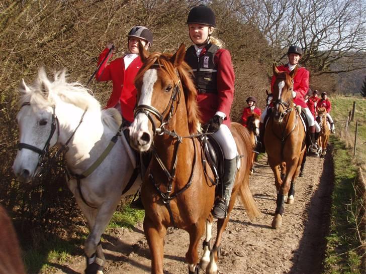 Jagt billeder af Ferrari - Hehe.. totalt godt billed.. alberte fotæller historier, billede 2