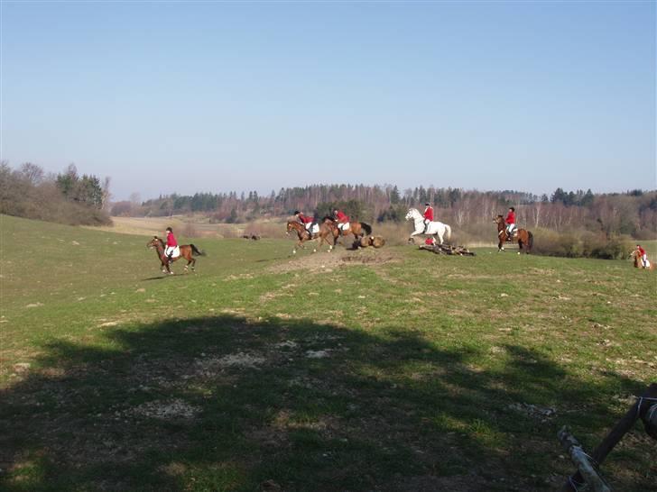 Jagt billeder af Ferrari - Spring billede 13