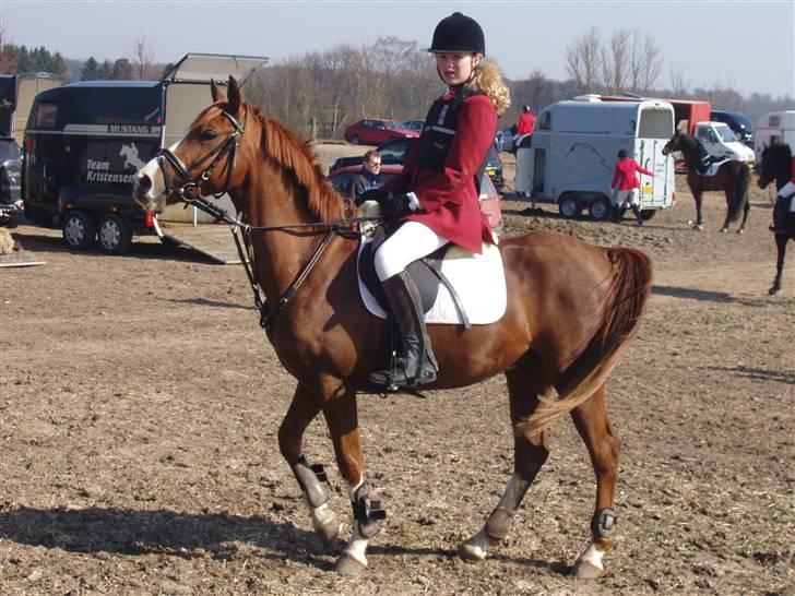 Jagt billeder af Ferrari - Han ville da ikke stå stille billede 14