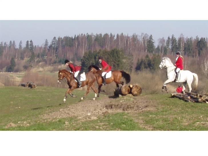 Jagt billeder af Ferrari - Lige efter spring!! liv læn dig tilbage..! billede 15