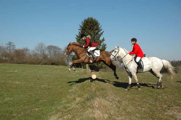 Jagt billeder af Ferrari - Godt billede et lille spring.. billede 3