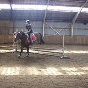 Spring på tjalfe :-)