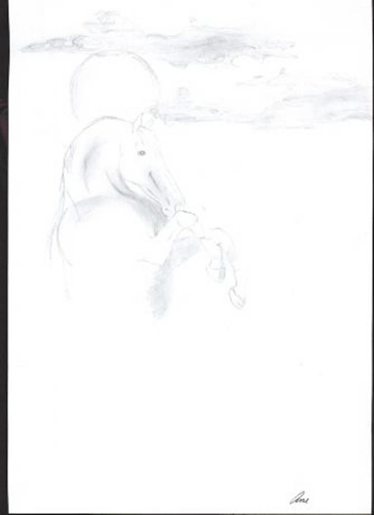 Tegninger - Tegnet i maj 2004 billede 1