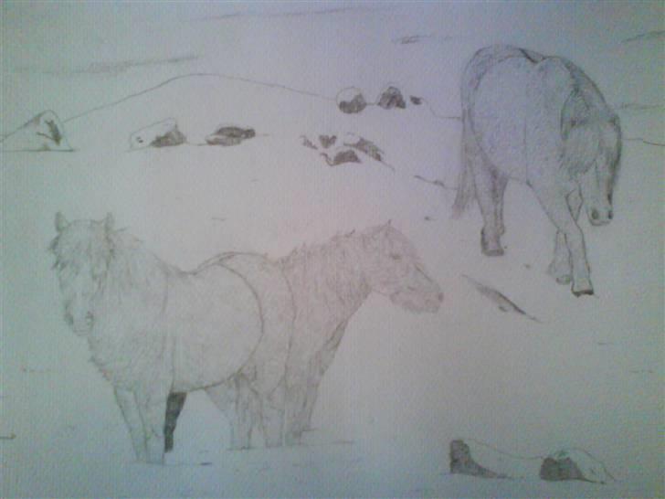 Tegninger - Tegnet i oktober 2007. 3 Islænder i et sne landskab. En tegning jeg brugte meget tid på  at lave. Resultatet blev okay. billede 3