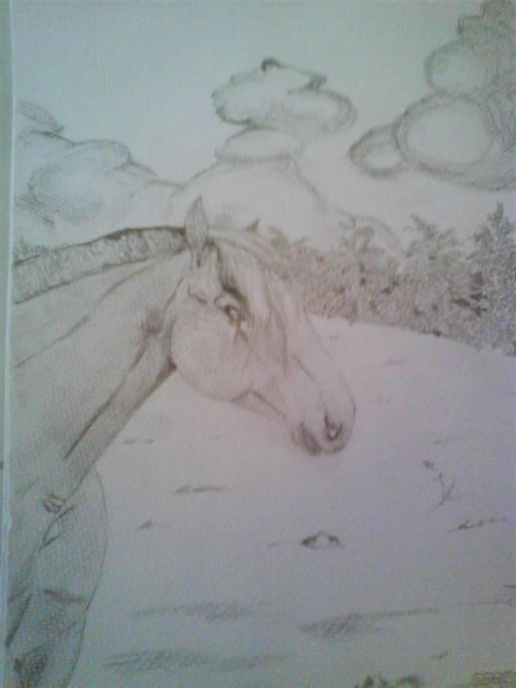 Tegninger - Tegnet i August 2008. Tegningen forstiller Frigg Nystad billede 4