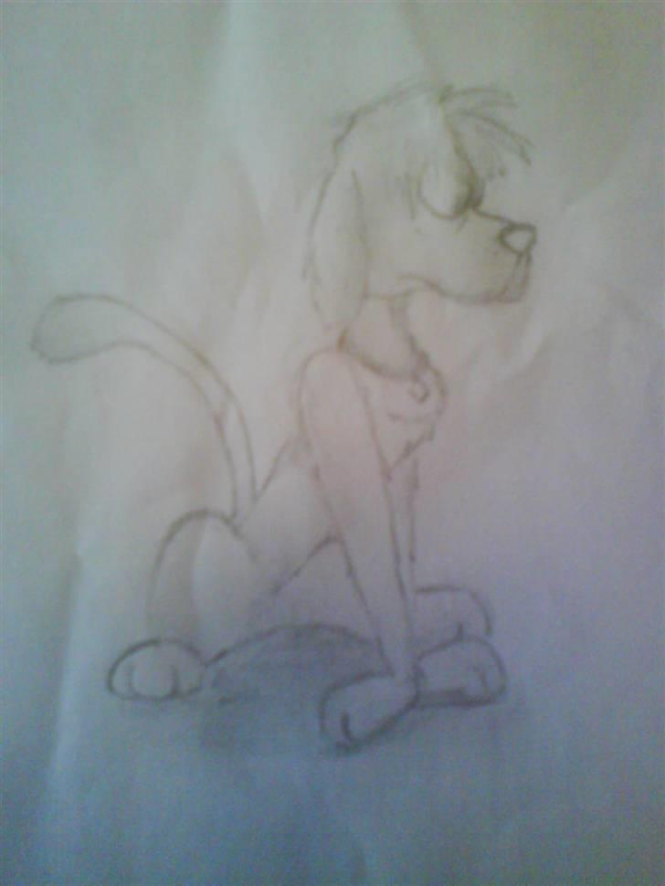 Tegninger - Desværre er tegningen blevet lidt ødelagt. Men den skal forestille en tegneserie hund. Tegnet på KE i 2003 billede 5