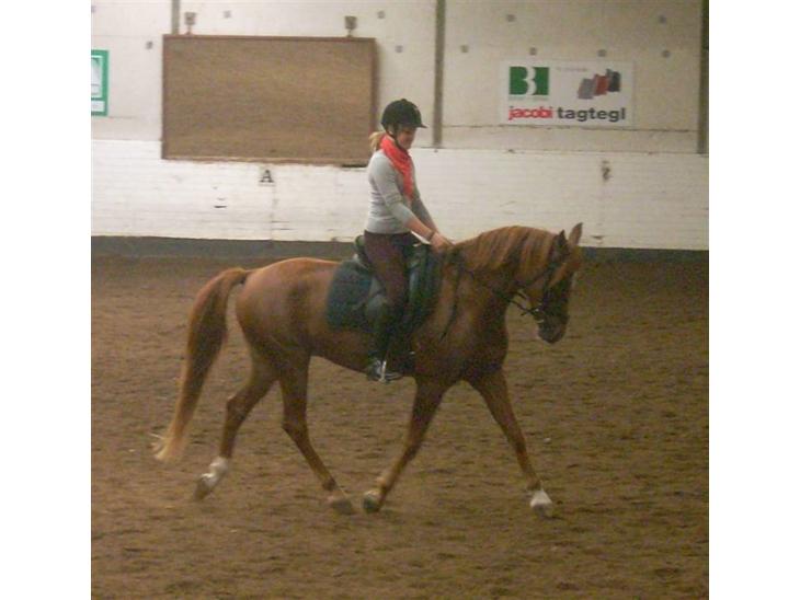 {{currentPhoto.altText}} billede {{currentPhoto.number}}