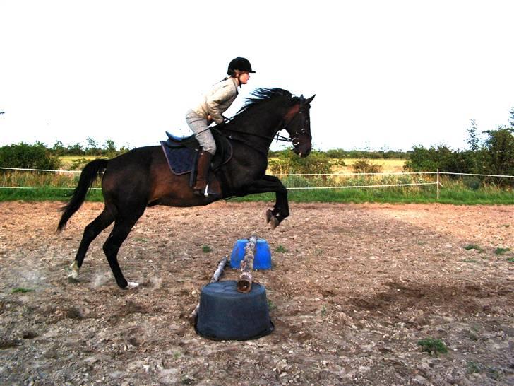 Forskellige heste - Galva, en vallak red red engang. Savner virkelig den dreng.
Tag jer ikke af mig, jeg er ikke springrytter ;b billede 11