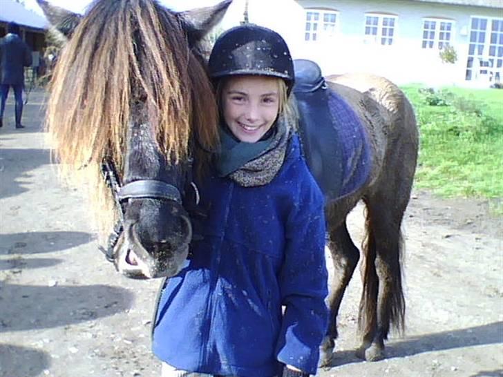 Ridetur på Rømø  billede 4