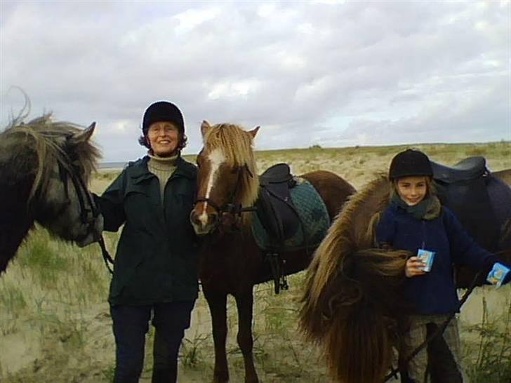 Ridetur på Rømø  - Karin og Camilla med alle 3 heste. billede 5