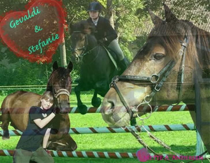 Billedmanipulation - Stefanie: Håber du er tilfreds med billedet af Gevaldi billede 2