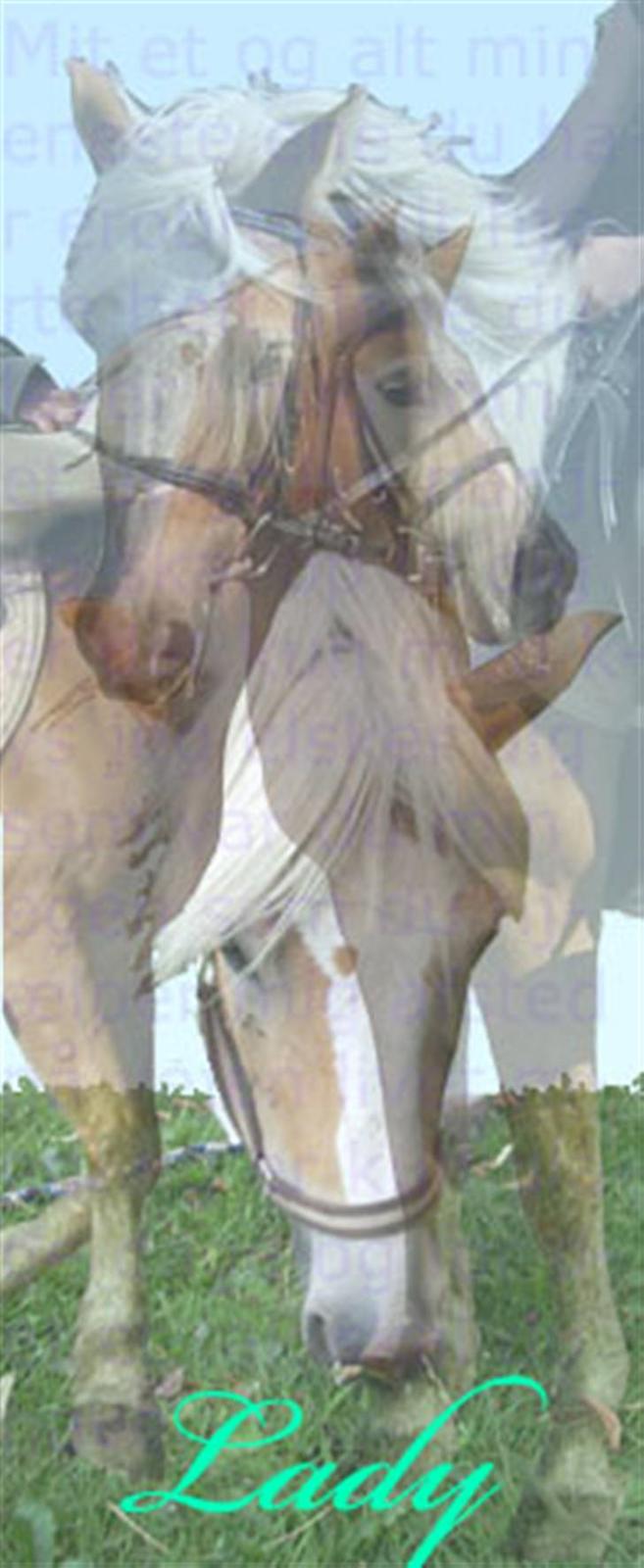 Billedmanipulation billede 3