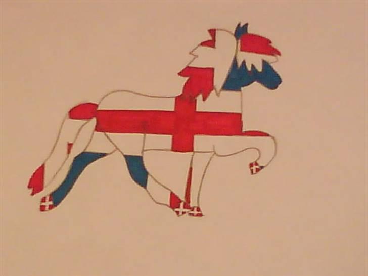 Nogle tegninger:D - 1 Töltende hest, med islandsk flag på kroppen, og Dansk flag på Hovende, manen, halen og pandelokken! billede 2