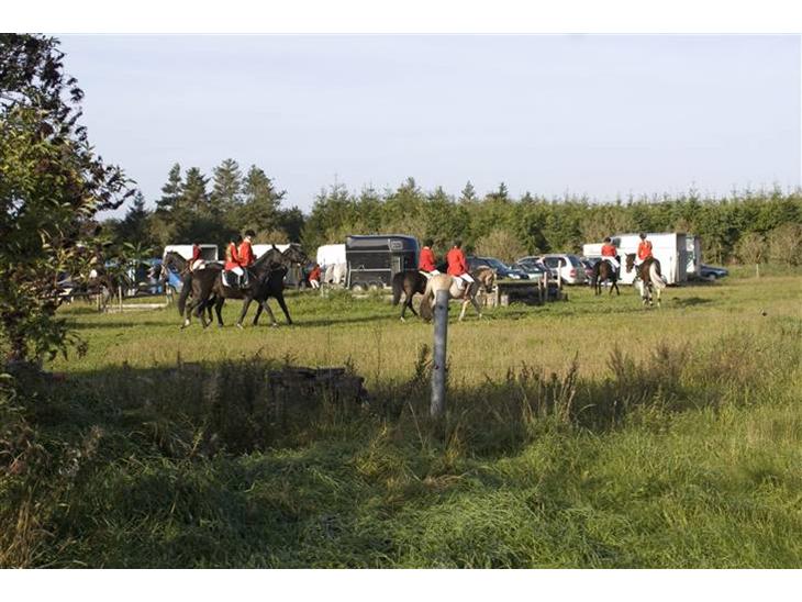 {{currentPhoto.altText}} billede {{currentPhoto.number}}