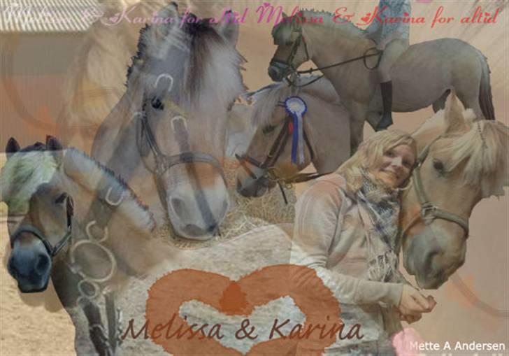 Billedmanipulation - Melissa: Haber du er tilfreds med billedet af Karina, jeg er ked af jeg ikke kunne holde det mere i de farver du gerne ville have, men det passede bare ikke rigtigt til billedet billede 1