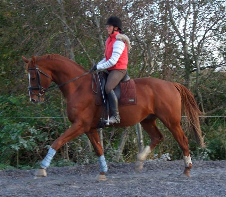 DET RØDE LYN billede 2