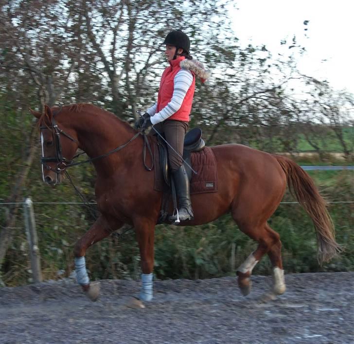 DET RØDE LYN billede 3