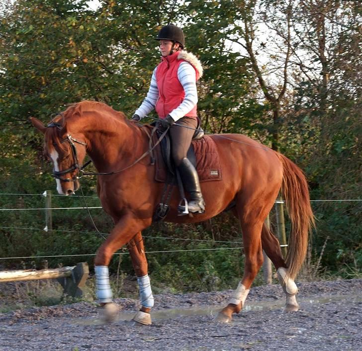 DET RØDE LYN billede 4