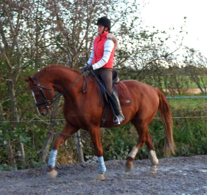 DET RØDE LYN billede 5