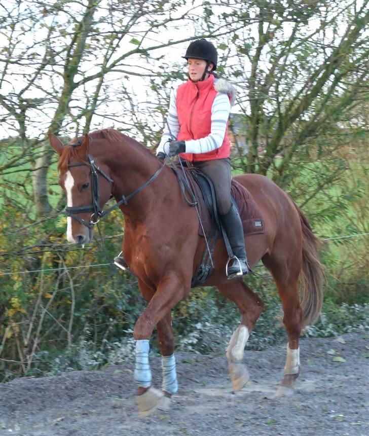 DET RØDE LYN billede 6