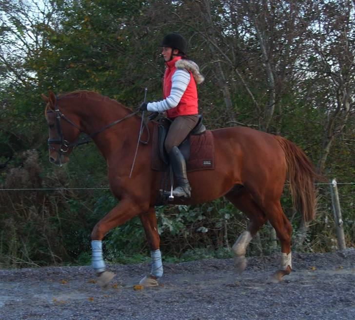 DET RØDE LYN billede 7